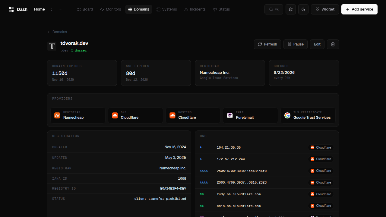 Domain detail with provider detection