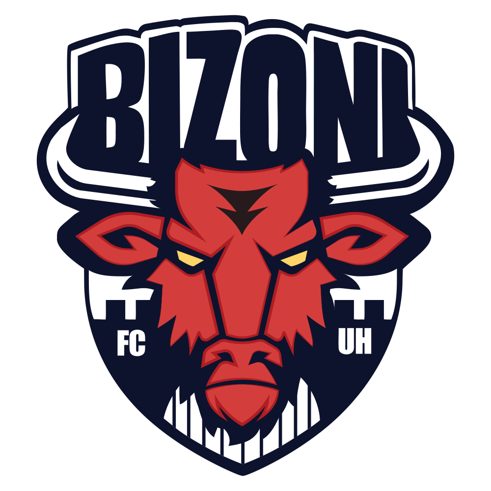 Bizoni Logo