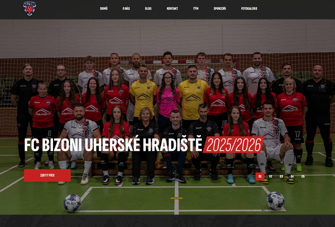 Bizoni UH