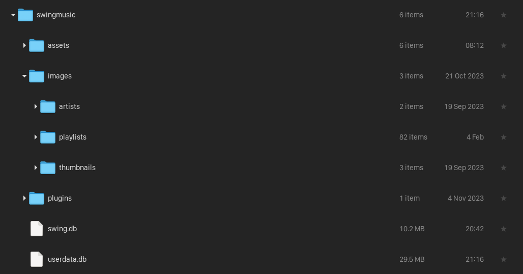 Image: Swing Music config directory structure