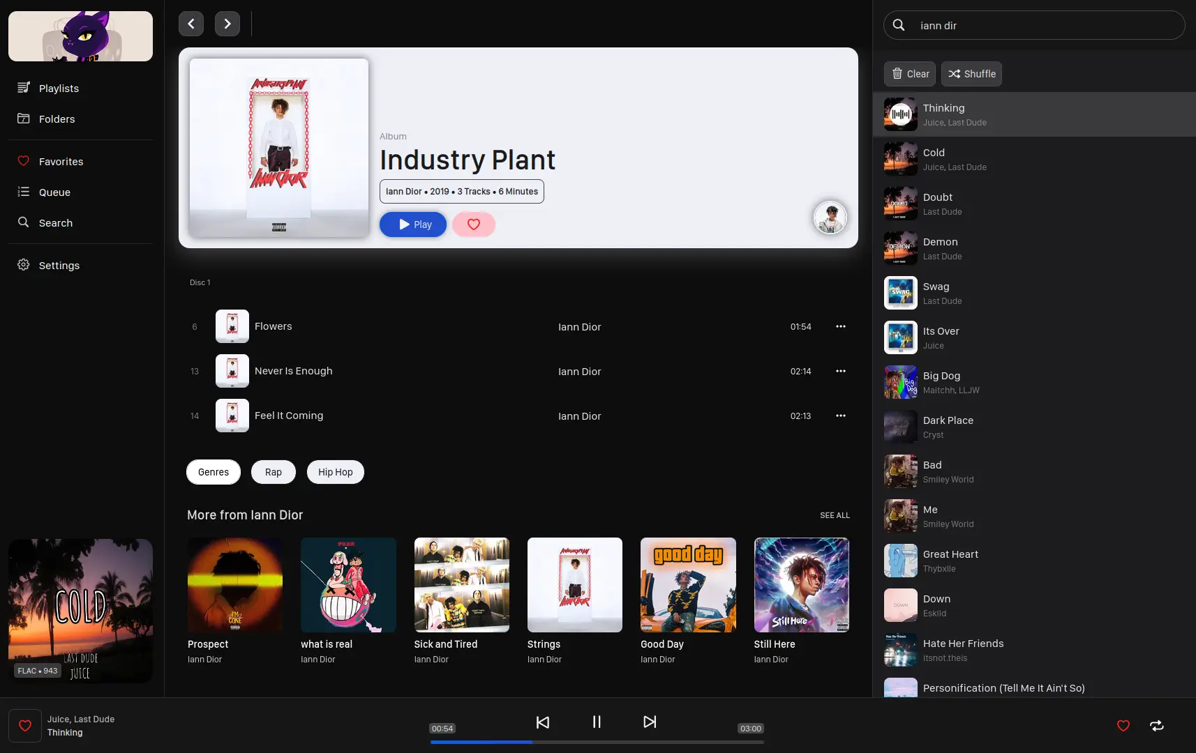 SWING MUSIC PLAYER BANNER IMAGE